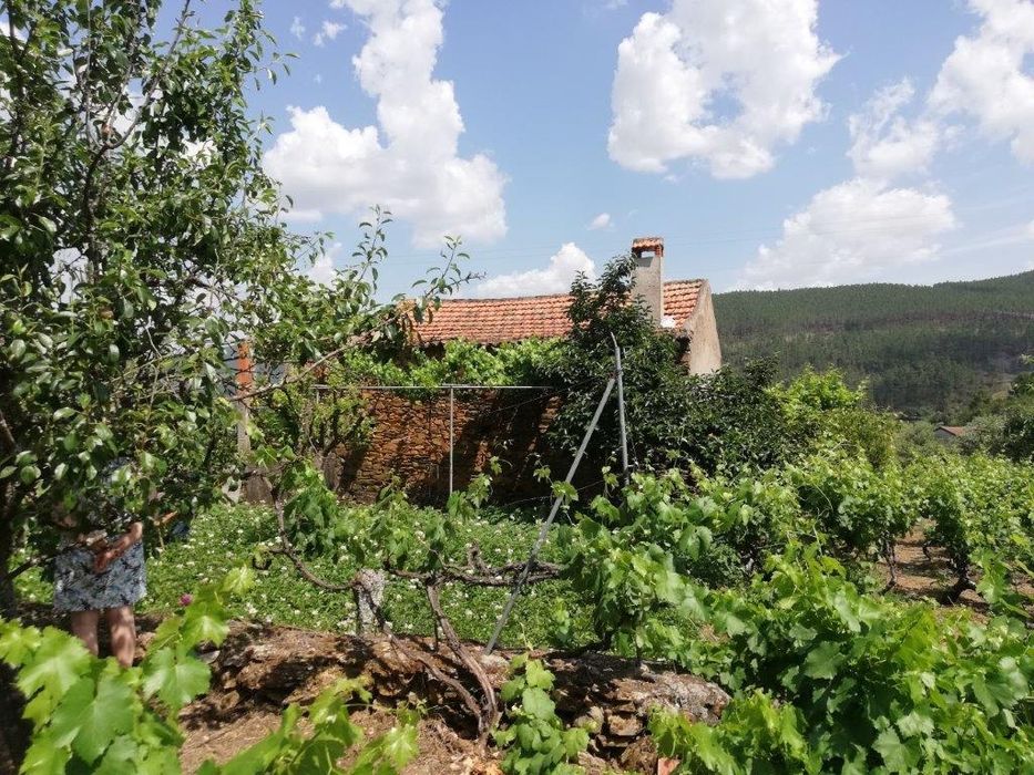 Quinta na Serra da Estrela