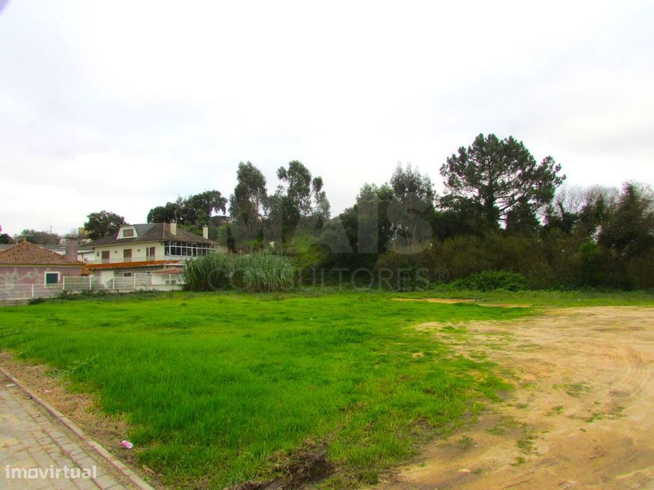 Mixed Plot - 1 Ha - Torres Vedras - Ramalhal
