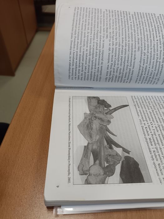 W Dorzeczu Środkowego Sanu, Misiak Tadeusz, 2005