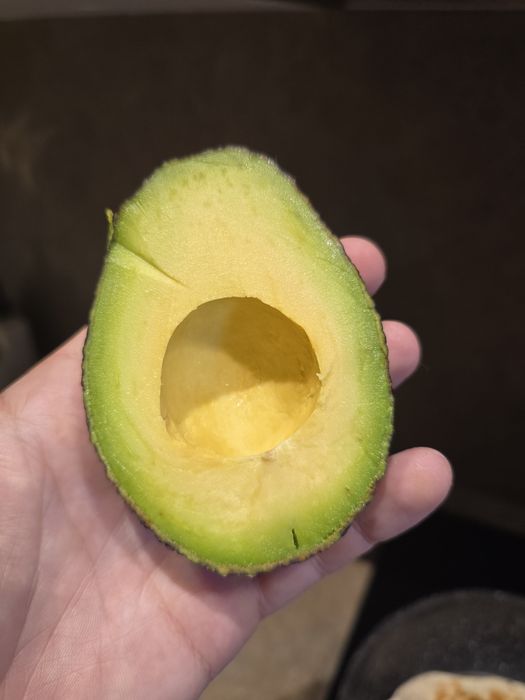 Авокадо ХАСС 18 калібр