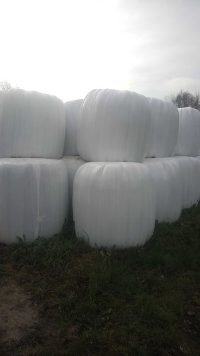 Sianokiszonka trawa, lucerna