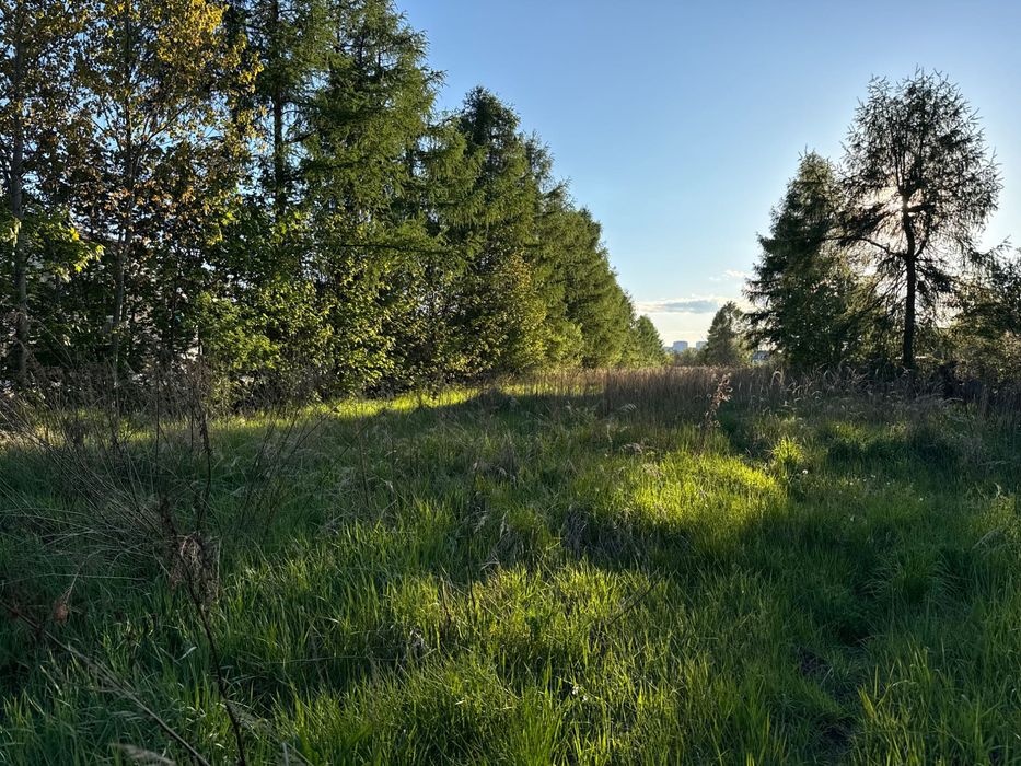 Działka INWESTYCYJNA Domaszowice ul. Walerego Przyborowskiego - 1 ha - Więcej