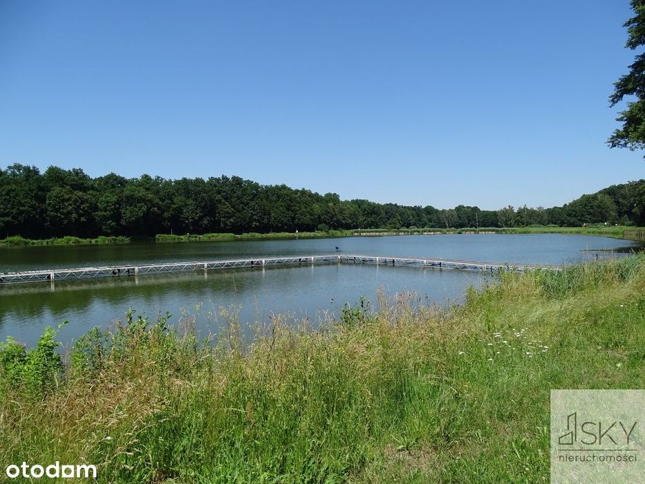 Całoroczny domek nad stawami | Wilczyn Leśny