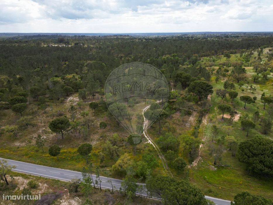 Terreno  para venda