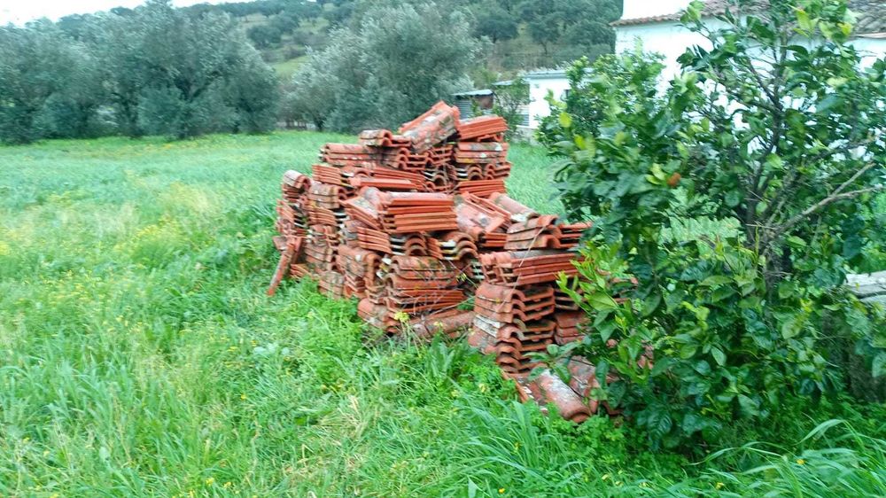 Telhas para venda