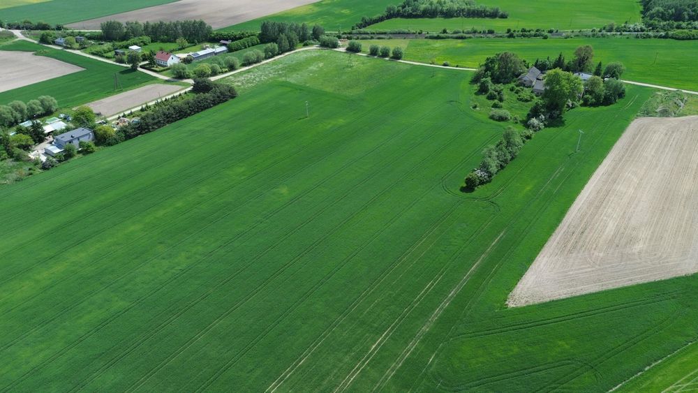 Działki pod produkcję, magazyny i usługi - Bociniec, gm. Pobiedziska