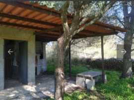 Terreno rustico isolado para venda castelo branco  (Benquerenças)