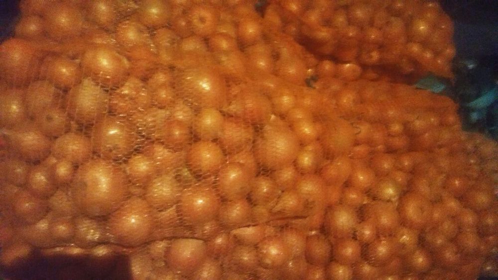 Cebula żółta obierana