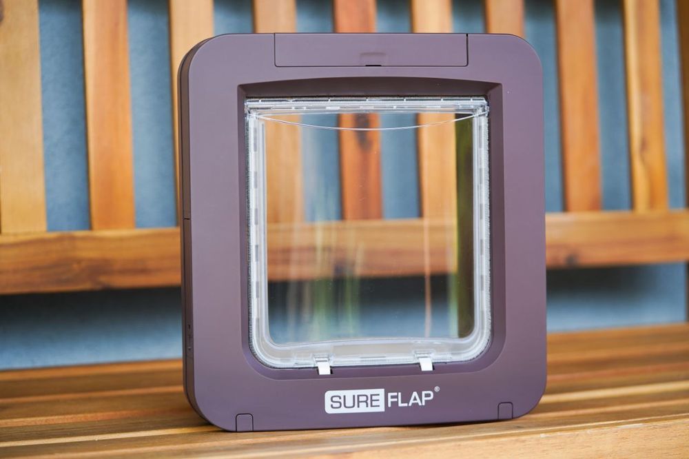 Дверца для кошек с идентификацией по микрочипу — безопасность вашего д