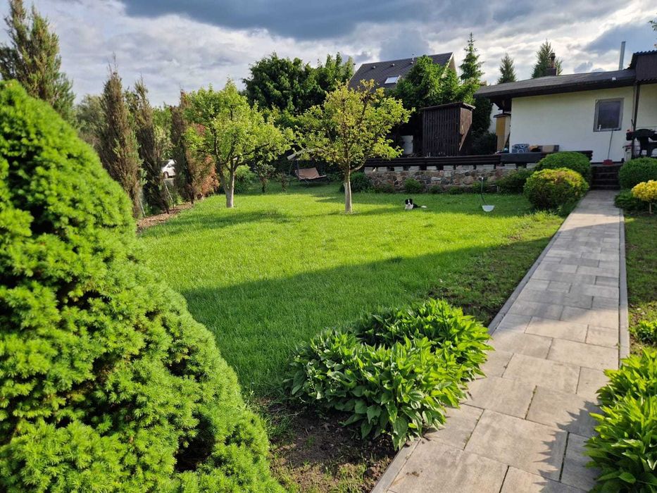 Działka ROD Chemik Bydgoszcz - Widok 2