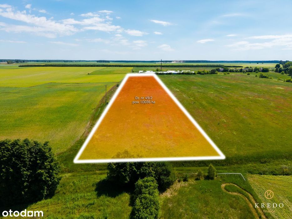 Działka budowlana 1,0036 ha | WZ | Duży potencjał inwest. | Koczała