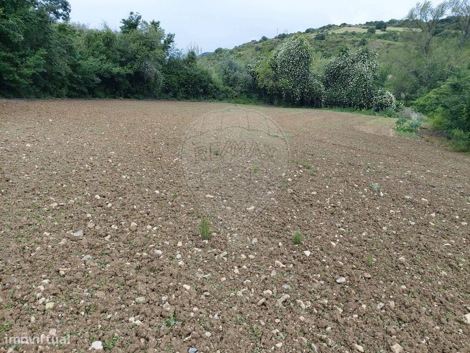 Terreno  para venda