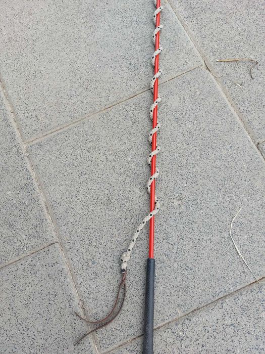 Bat Carrot Stick York