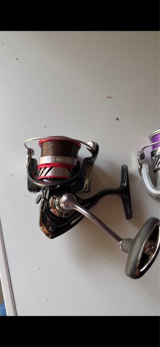 Carretos pesca daiwa