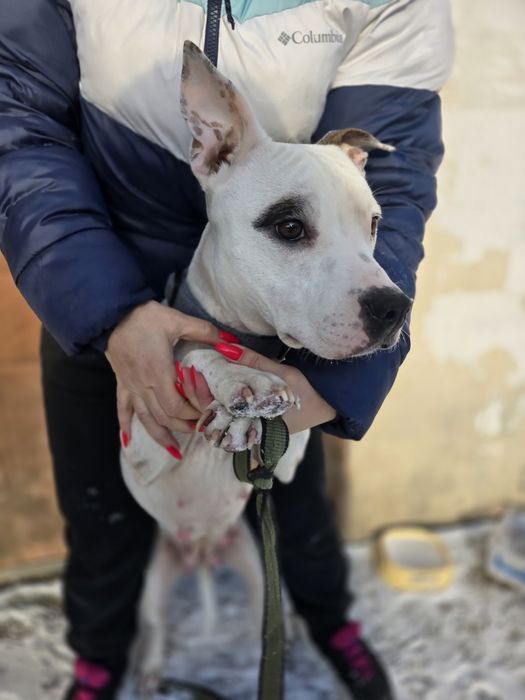 Хлопчики в добрі ручки!