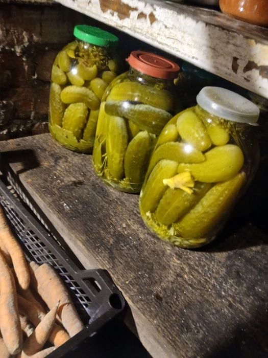 Квашені огірки .