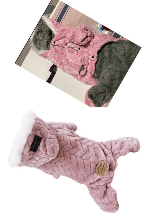 Одяг для собак маленьких порід