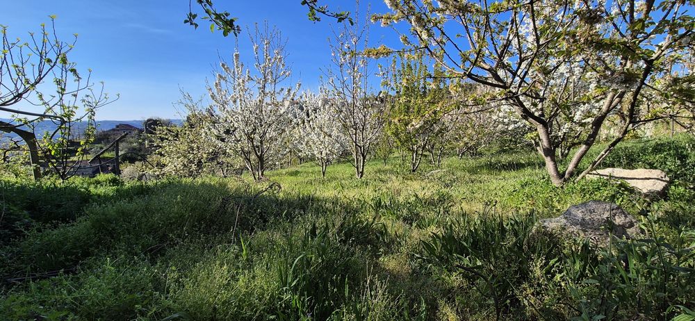 Moradia em Granito com Terreno (+2000m²), Lagar e Água Própria — Resende