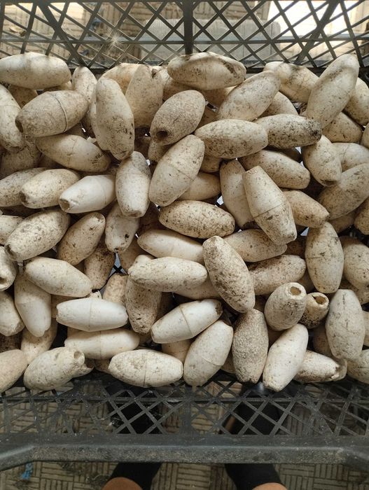 Продам поплава разные