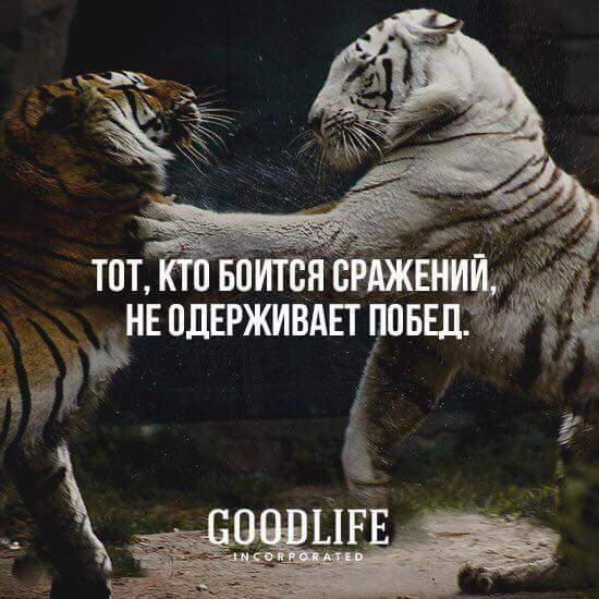 Узаконення самочинного будівництва! Розподіл нерухомості!