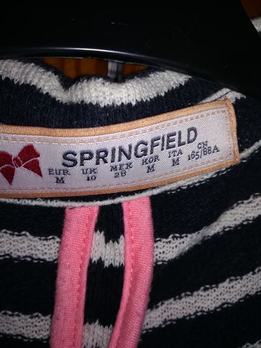 Blaser Springfield