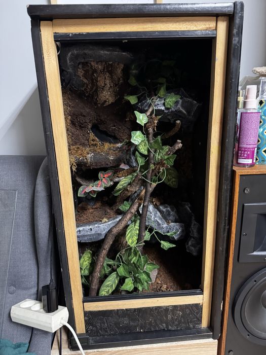 Terrarium pionowe 80x40x34