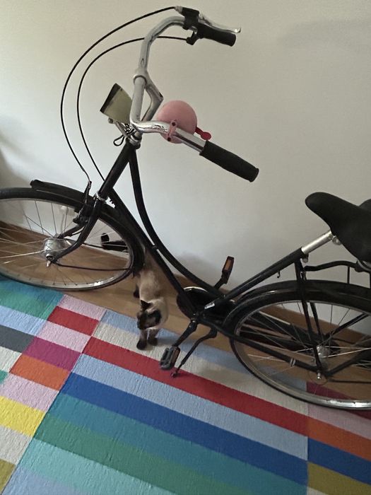 Bicicleta de cidade