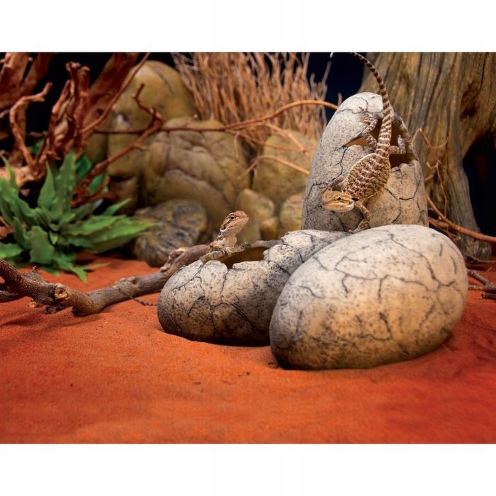 Exo Terra jaja dinozaura duże kryjówka