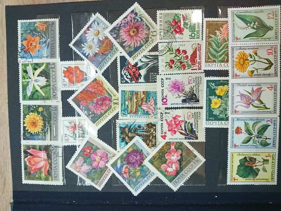 Альбом марок на тему флора.