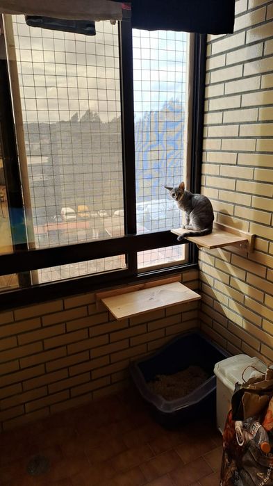 Redes de proteção para gatos/Redes anti-queda/Proteção para janelas