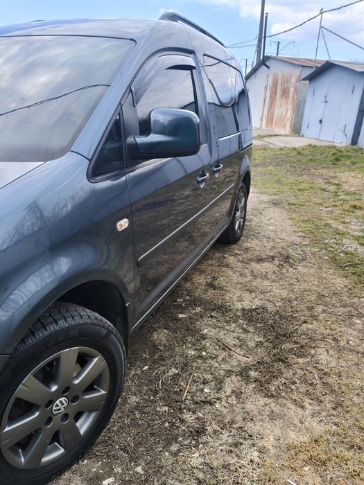 Продам каддик ухоженый