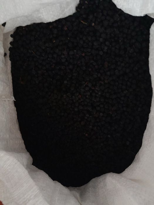 Суха чорниця 2025