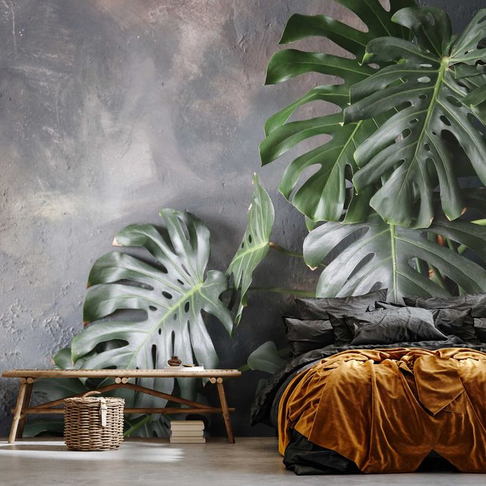 Fototapeta Liście Monstera Beton Do Pokoju 3D Na Twój Rozmiar + KLEJ