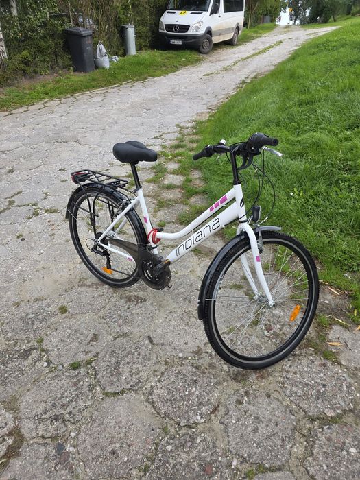 Rower damski Indiana .