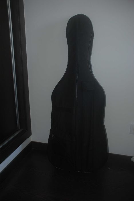 Violoncelo 1/2 Iniciante