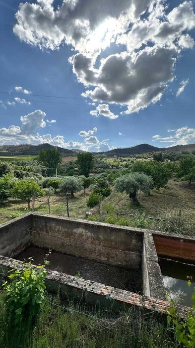 Terreno de 1,04 ha em Vila Flor (Vale da Vilariça) – Com Água (Furo/Tanque), Armazém Agrícola e Vistas Fantásticas