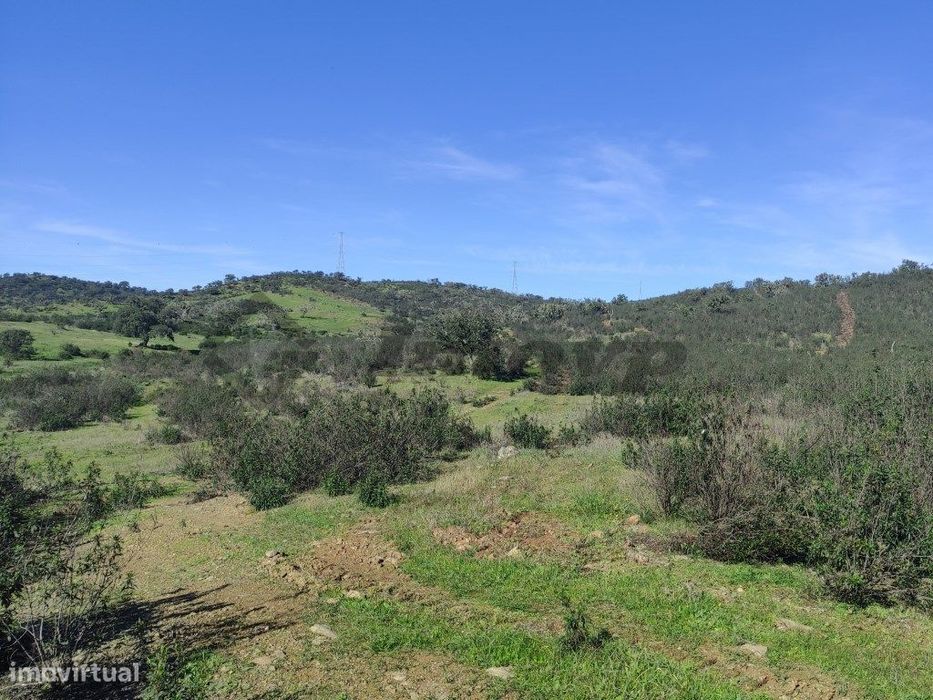 Terreno rústico de10,61Ha localizado 2 Km a sul da localidade da Do...