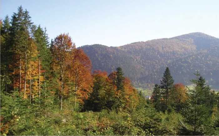 1,4 та 2,3 Га під забудову в с. Стара Гута