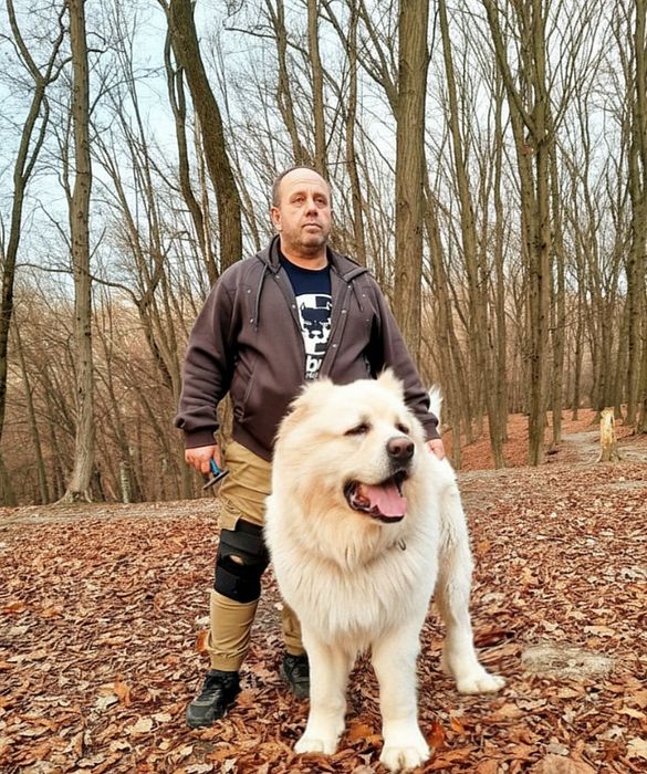 Цуценята від розплідника Start Escort великі робочі костисті