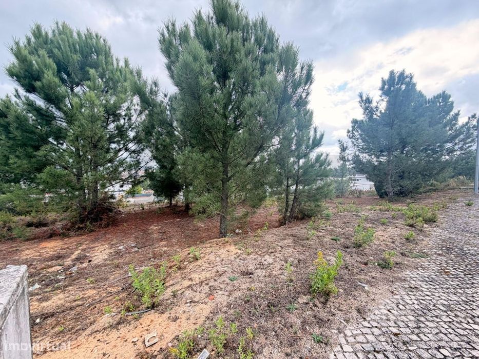 Lote de Terreno para contrução - Rio Maior - — Rio Maior, Santarém