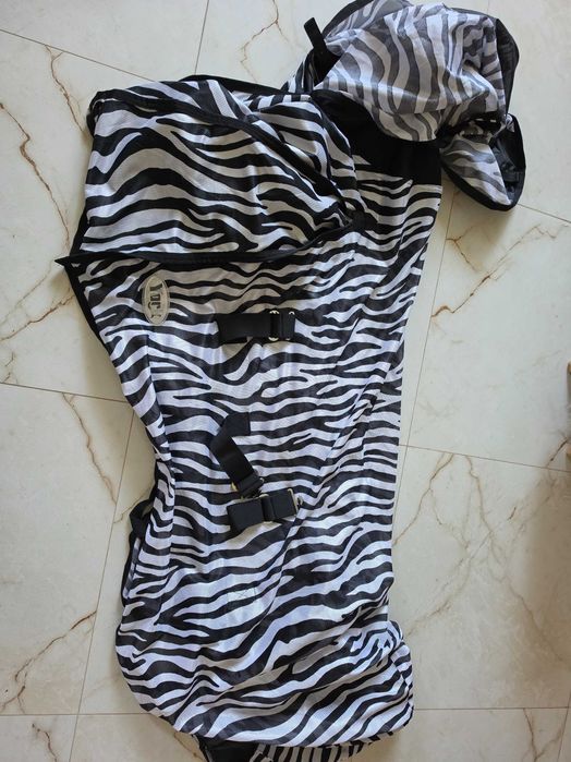 Derka zebra na owady