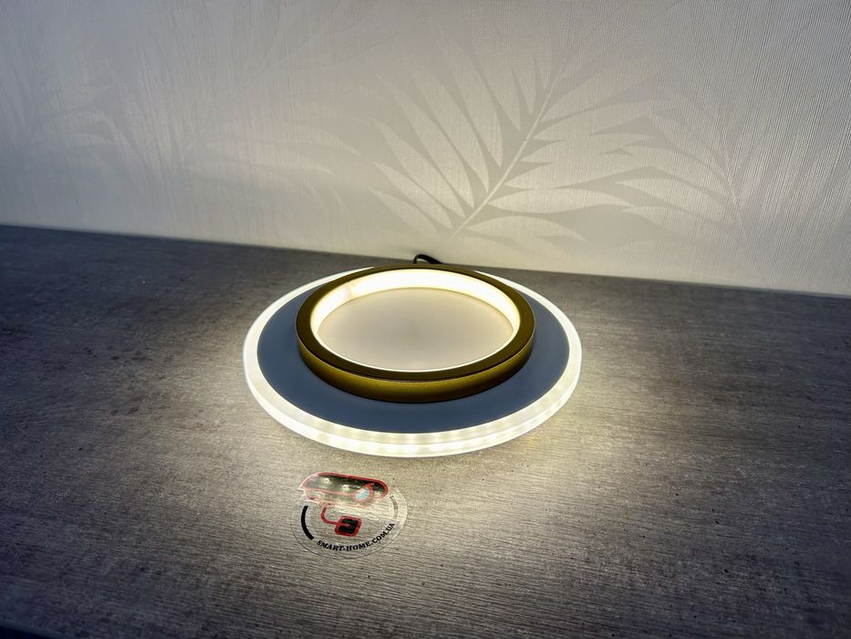 24Вт‼️ LED лампа светильник потолочный золотой  круглый позолотой люстра світильник стельовий лед бра для передпокою прихожей кладовки кухни кухні