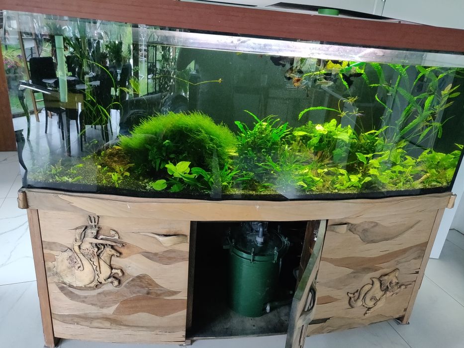 Sprzedam akwarium 700 litrów
