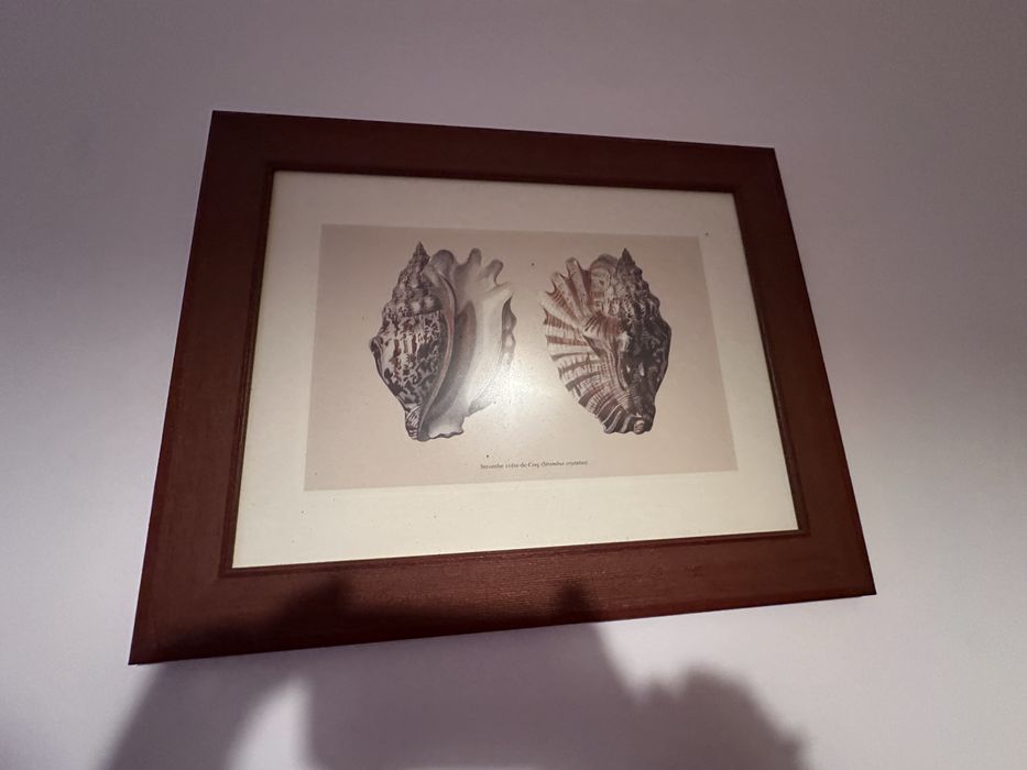 Quadros varios como novos444289430827182083