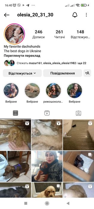 Хлопчик англійського спаніеля