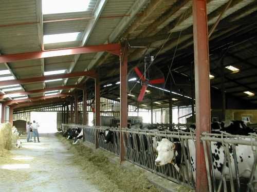 Wentylator MultiFan, dedykowany do obory, chlewni, kurnika. Mieszacz