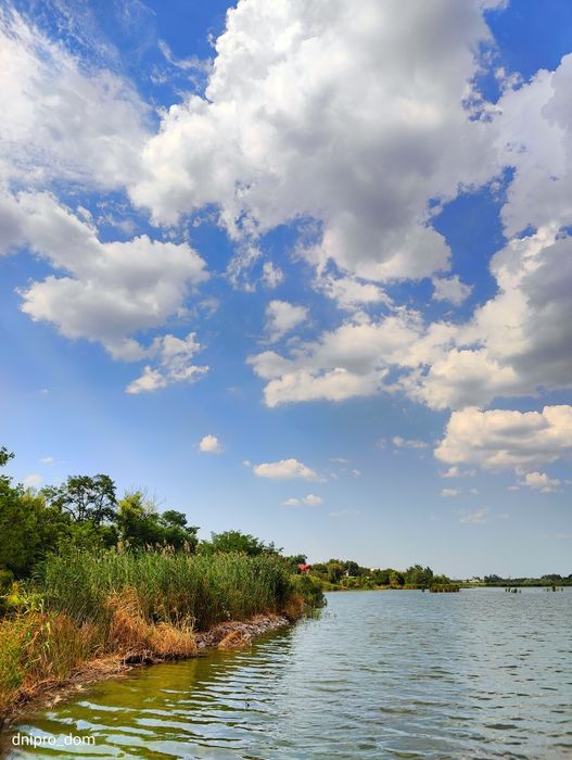 Продам турбазу с участком 4,6 га с берегом Самара Подгородное Sun Ray