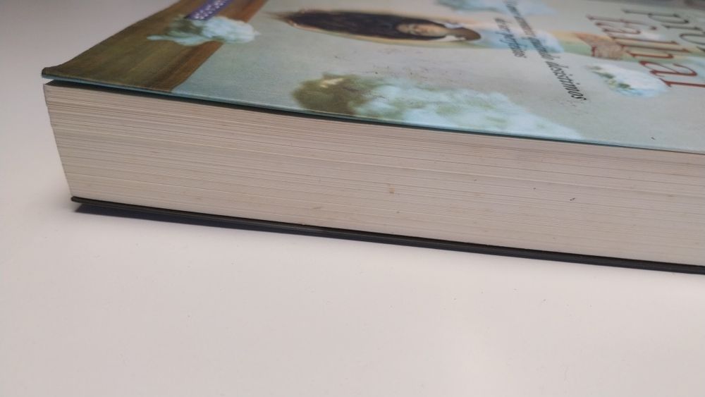 Livro Prometo Falhar