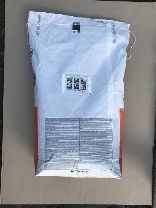 Соняшник. Насіння