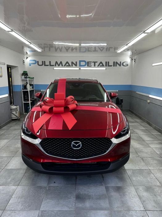 Бант на машину ,подарочный бант,большой бант